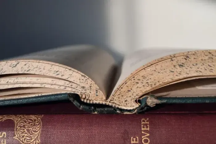 Bibliotecas Transformadoras: Livros que Moldam Líderes Sociais em 2025-2026