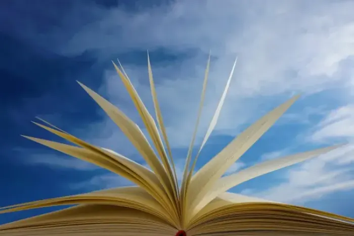 Leituras Inspiradoras: Livros Imprescindíveis para o Líder Social