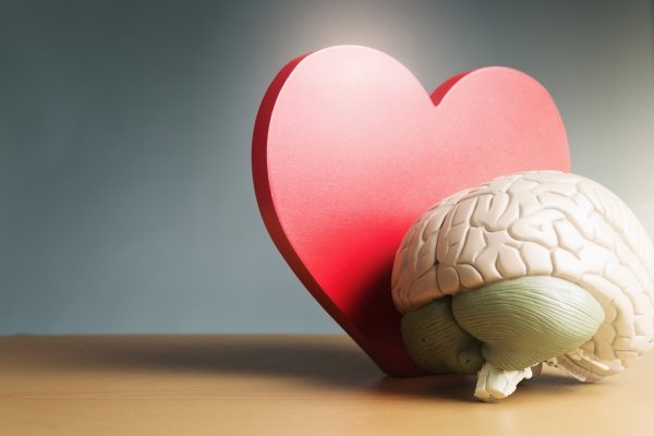 inteligência emocional