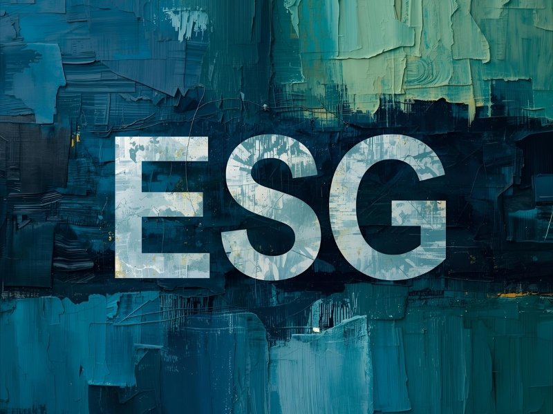 Como Implementar ESG em ONGs